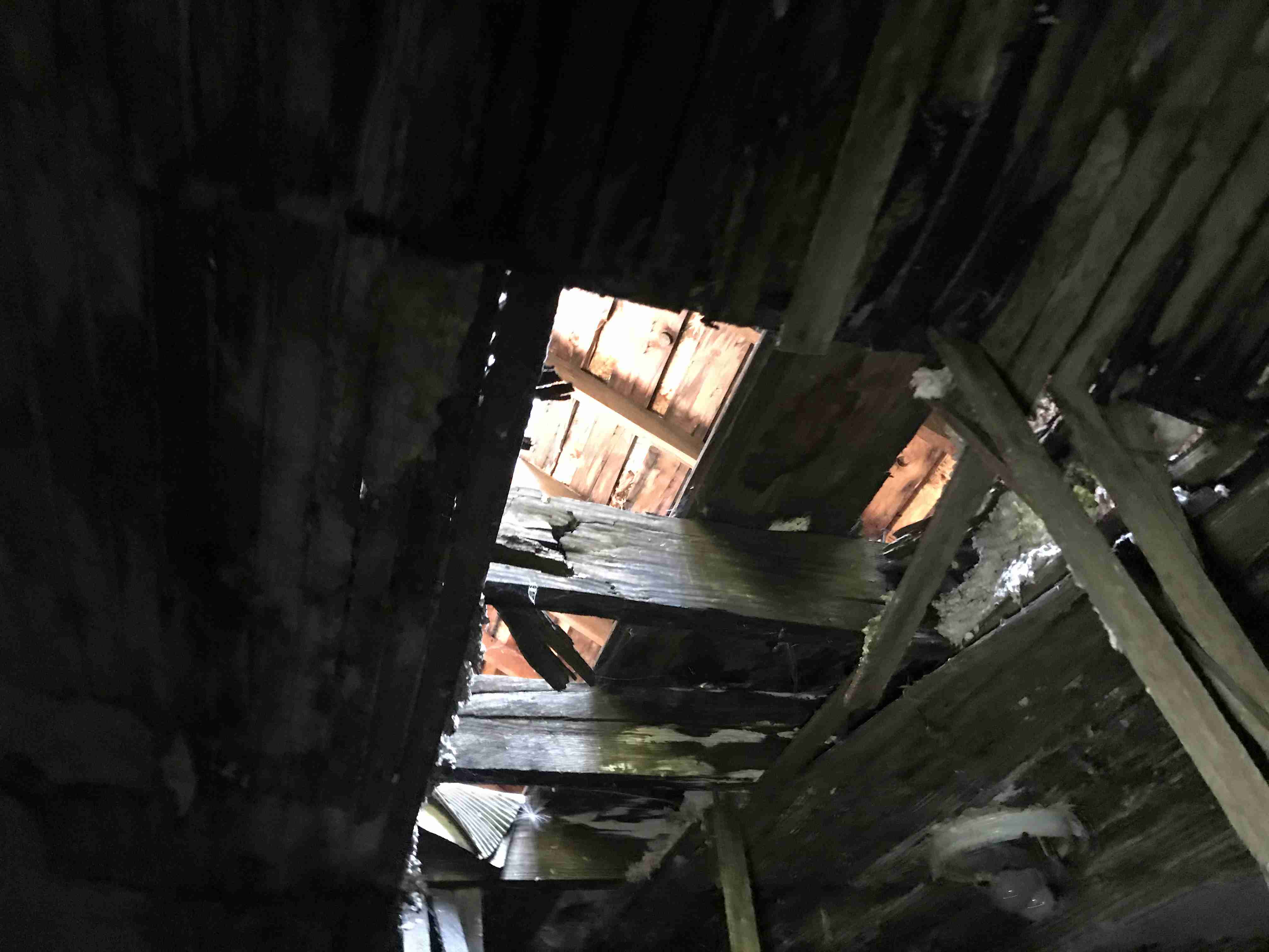 Photo Aug 20, 10 15 36 AM.jpg